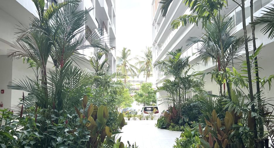 For rent studio condo in Thalang, Phuket