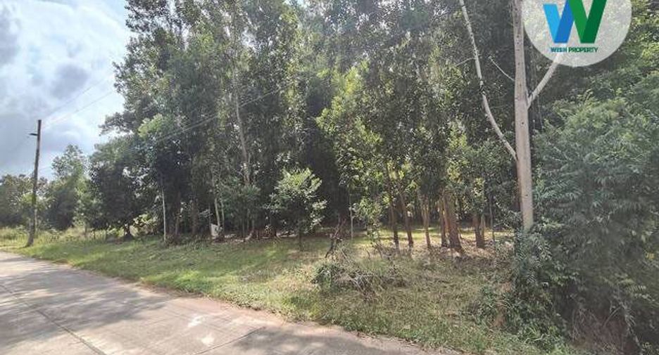 For sale land in Khuan Khanun, Phatthalung
