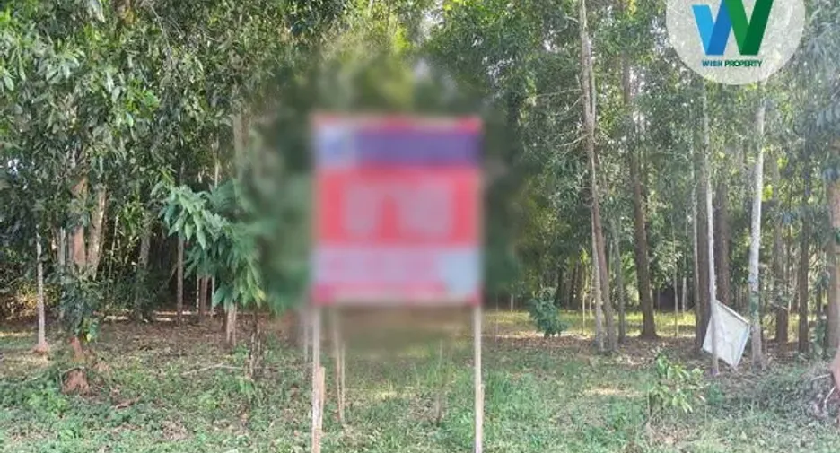 For sale land in Khuan Khanun, Phatthalung