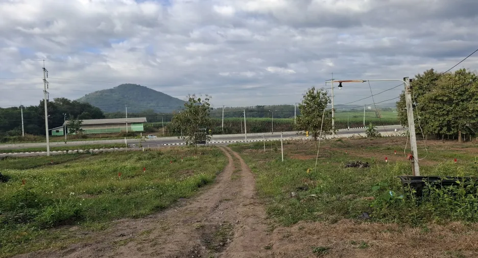 For sale land in Wang Saphung, Loei