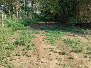 出售 土地 在 Mueang Lampang, Lampang