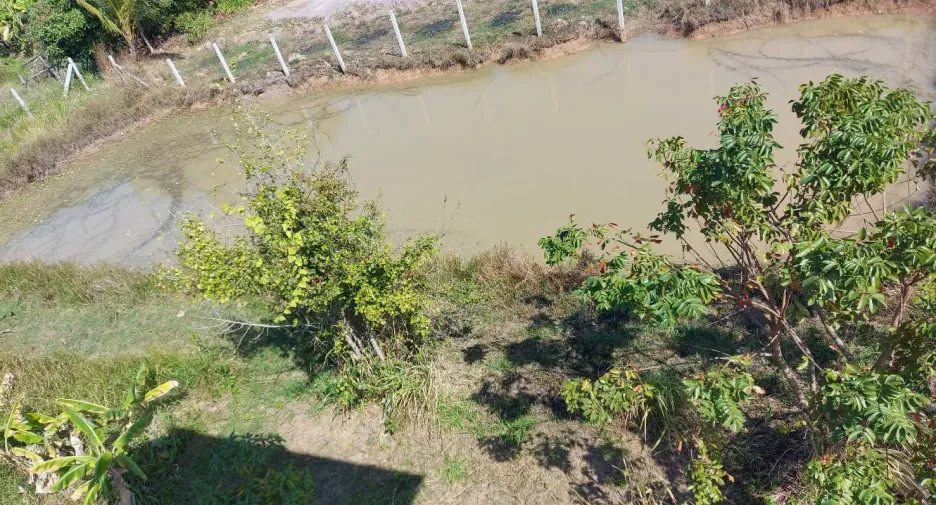 Casa en venta de 3 habitaciones en Prasat, Surin