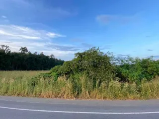 À vendre terrain à Plaeng Yao, Chachoengsao