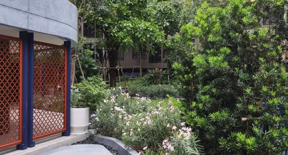 For sale and for rent studio condo in Mueang Phuket, Phuket