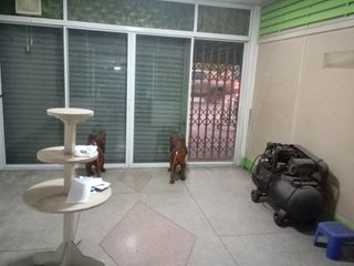 For sale 7 ベッドルーム retail Space in Mueang Chiang Mai, Chiang Mai