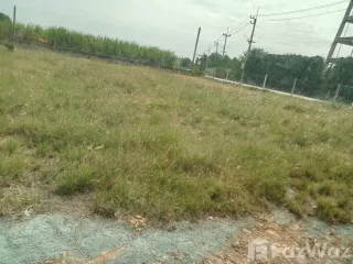 For sale land in Kamphaeng Saen, Nakhon Pathom