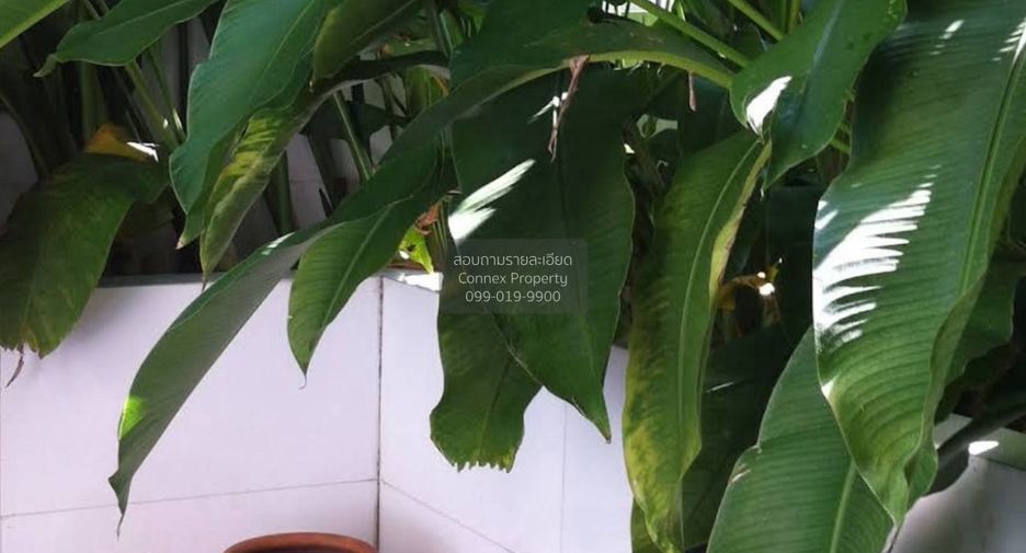 For sale 4 bedrooms townhouse in Lat Phrao, Bangkok