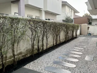 出租 4 卧室 独立屋 在 Prawet, 曼谷