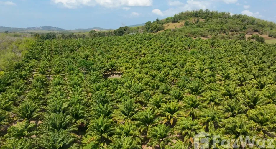 For sale land in Thalang, Phuket