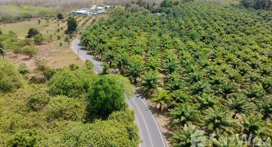 For sale land in Thalang, Phuket