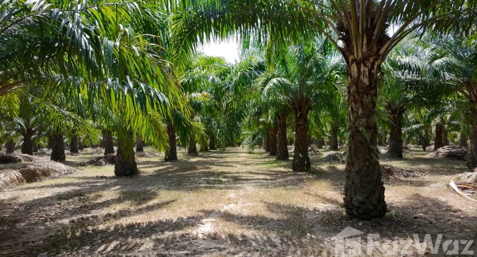 For sale land in Thalang, Phuket