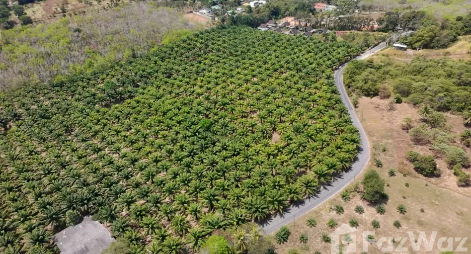 For sale land in Thalang, Phuket