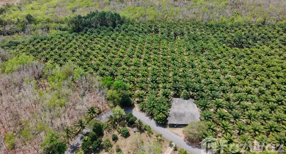 For sale land in Thalang, Phuket