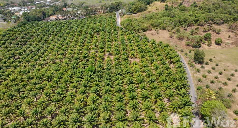 For sale land in Thalang, Phuket