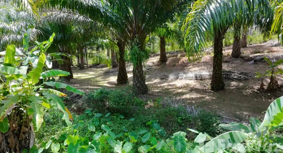 For sale land in Thalang, Phuket