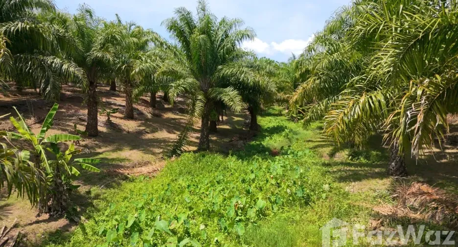 For sale land in Thalang, Phuket