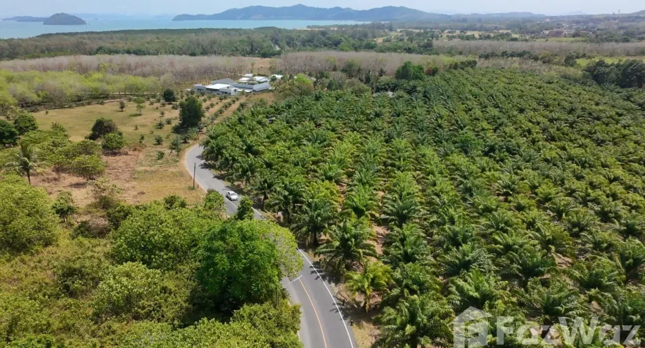 For sale land in Thalang, Phuket