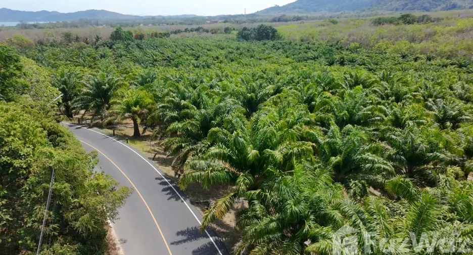 For sale land in Thalang, Phuket