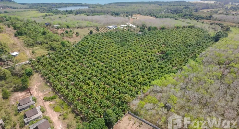 For sale land in Thalang, Phuket