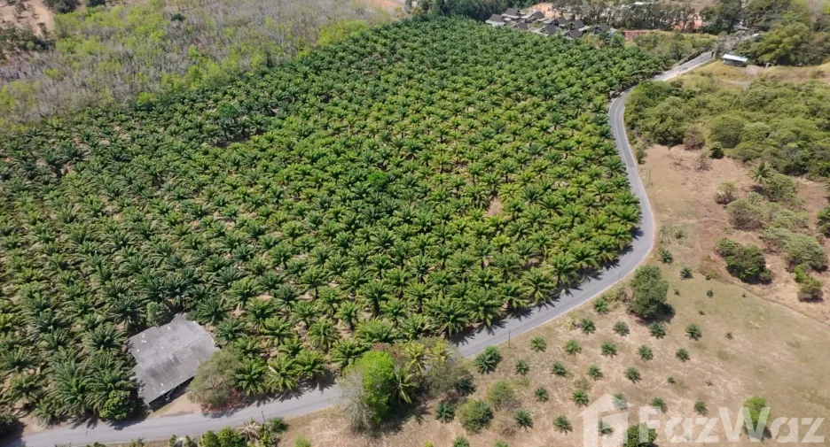 For sale land in Thalang, Phuket