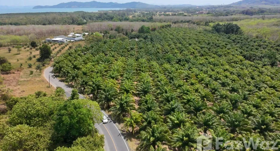 For sale land in Thalang, Phuket