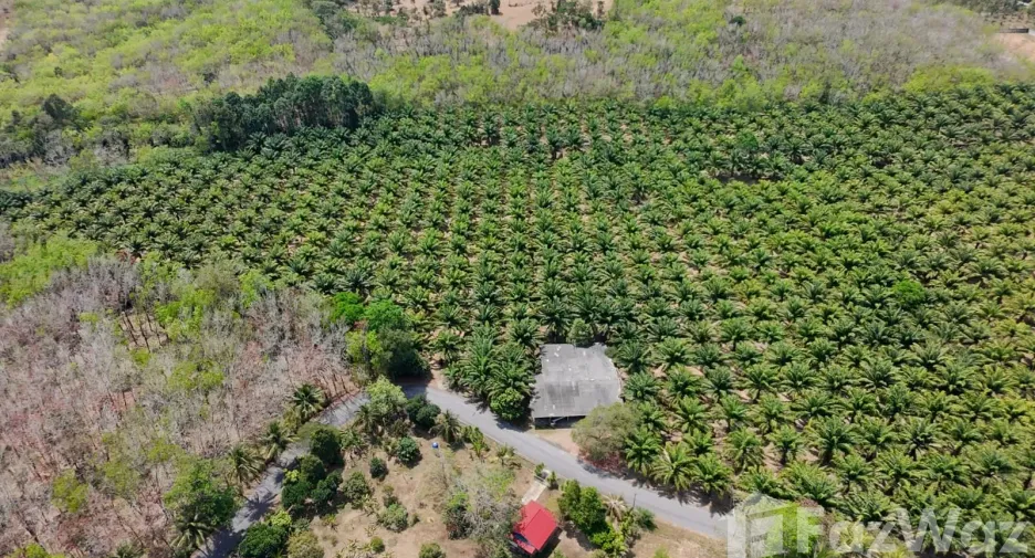 For sale land in Thalang, Phuket