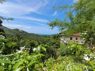 For sale 4 bedrooms house in Ko Samui, Surat Thani