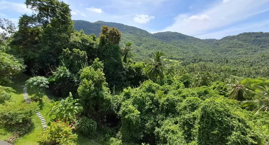 For sale 4 bedrooms house in Ko Samui, Surat Thani