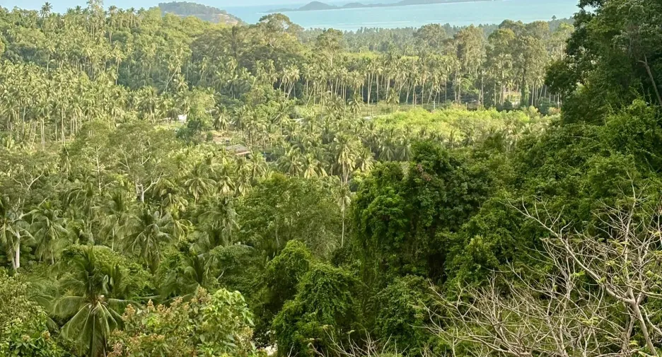For sale 4 bedrooms house in Ko Samui, Surat Thani