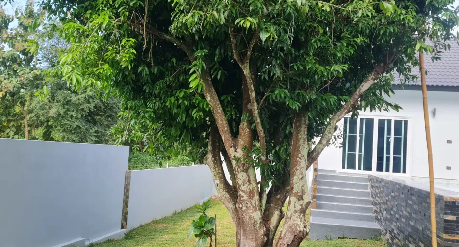 For sale 3 bedrooms villa in Mueang Chiang Rai, Chiang Rai