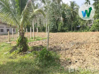 出售 土地 在 Pa Phayom, Phatthalung
