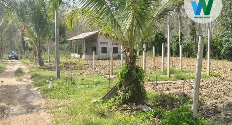 For sale land in Pa Phayom, Phatthalung
