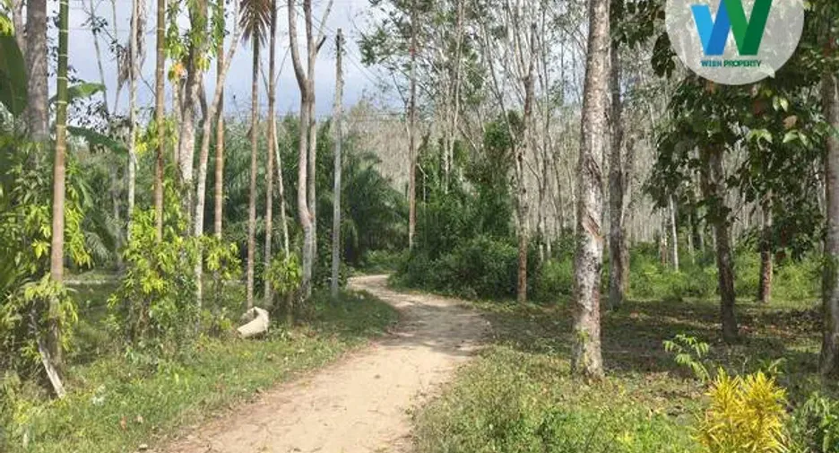 For sale land in Pa Phayom, Phatthalung