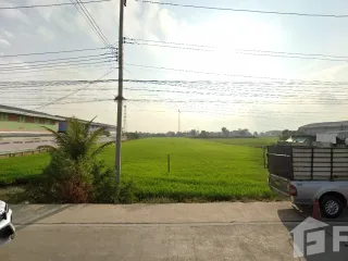 For sale land in Lat Lum Kaeo, Pathum Thani