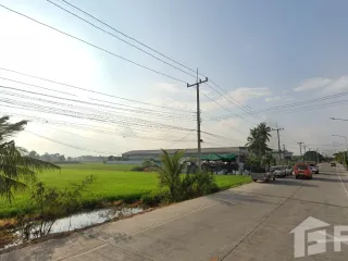 For sale land in Lat Lum Kaeo, Pathum Thani