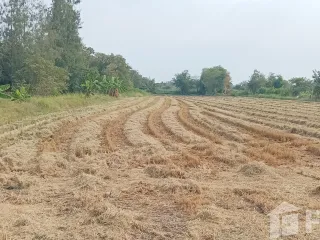 Terreno en venta en Phanat Nikhom, Chonburi