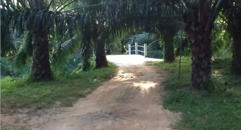 For sale land in Thai Mueang, Phang Nga