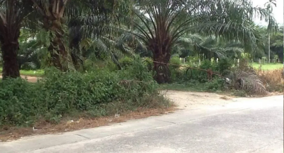 For sale land in Thai Mueang, Phang Nga