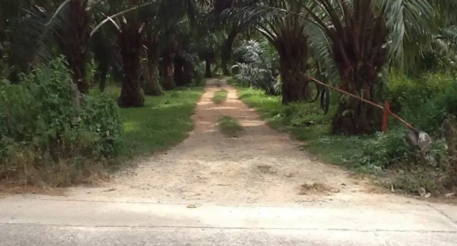 For sale land in Thai Mueang, Phang Nga
