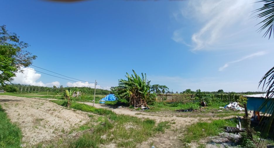 For sale land in Takua Thung, Phang Nga