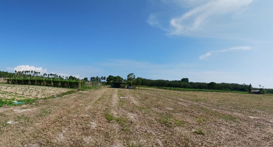 For sale land in Takua Thung, Phang Nga
