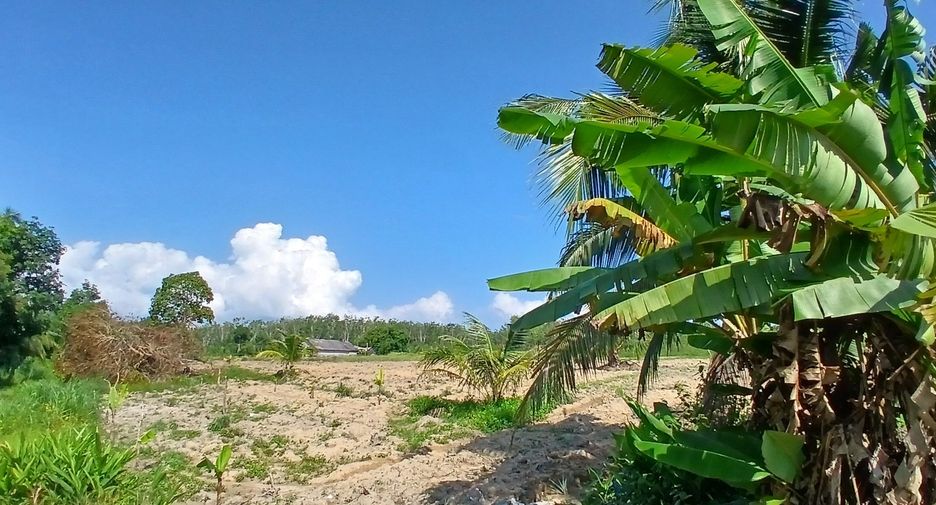 For sale land in Takua Thung, Phang Nga