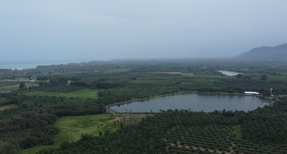 For sale land in Takua Thung, Phang Nga