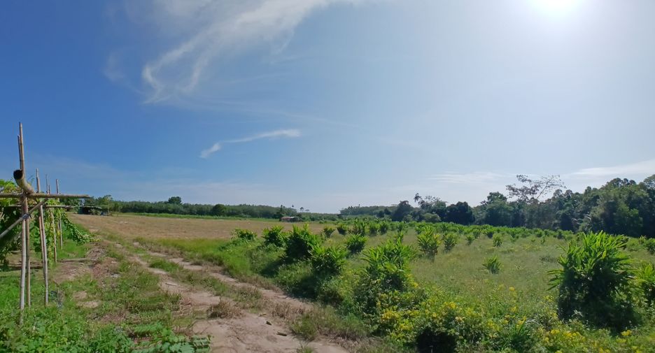 For sale land in Takua Thung, Phang Nga