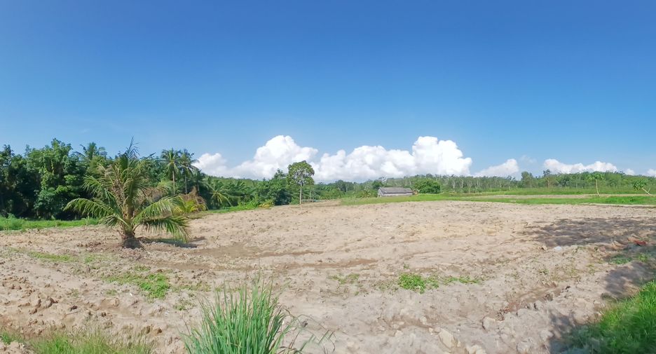 For sale land in Takua Thung, Phang Nga