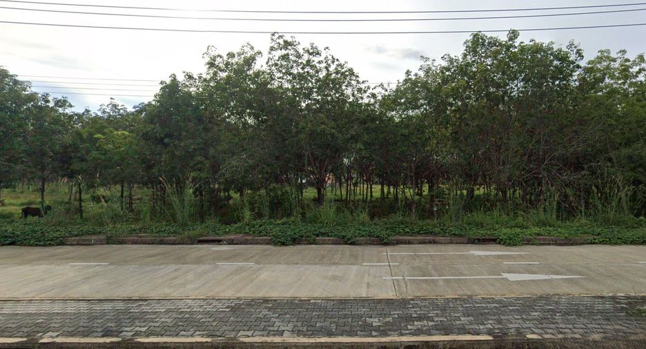 For sale land in Takua Thung, Phang Nga