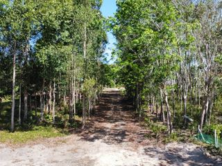 For sale land in Takua Thung, Phang Nga