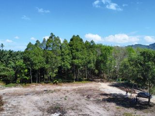 For sale land in Takua Thung, Phang Nga