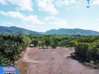 For sale land in Takua Thung, Phang Nga