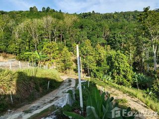 For sale land in Thai Mueang, Phang Nga